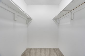 Carpeted Walk-In Closet